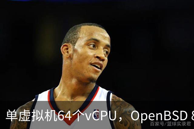 单虚拟机64个vCPU，OpenBSD 8.0把虚拟化拉满了