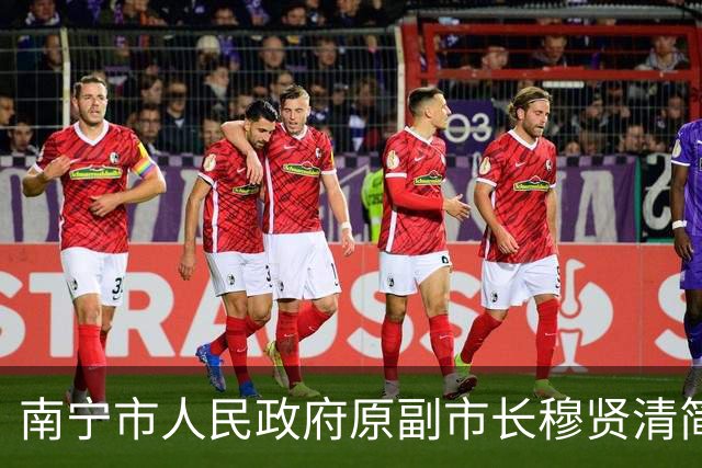 南宁市人民政府原副市长穆贤清简历