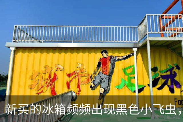 新买的冰箱频频出现黑色小飞虫，市民投诉称“冰箱门太松”要求退货，商家回应：之前换过一次机，卖了50多台只有他们家出现问题