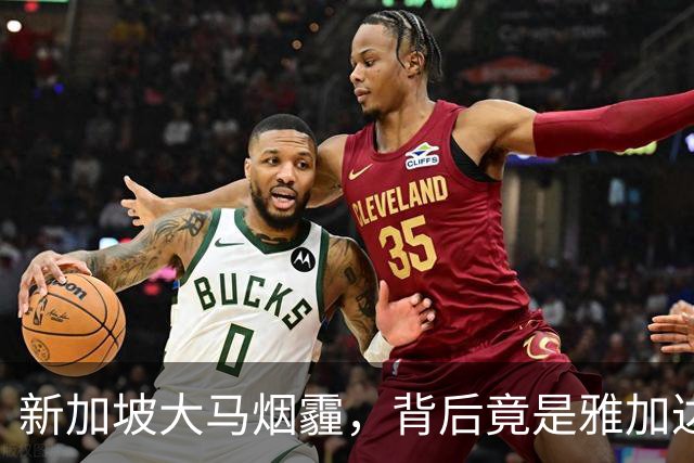 新加坡大马烟霾，背后竟是雅加达纵容！