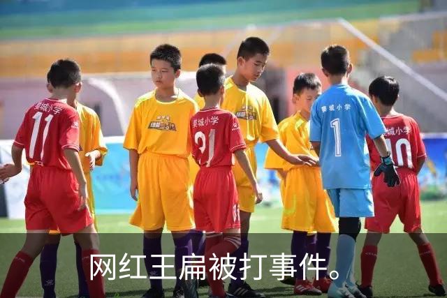 网红王扁被打事件。