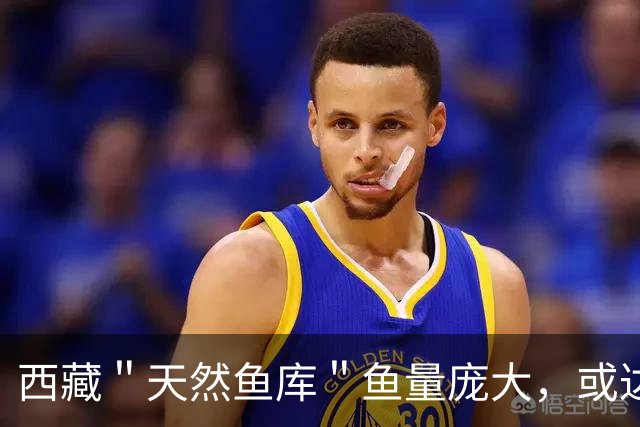 西藏＂天然鱼库＂鱼量庞大，或达2亿公斤？为何人们不进行打捞？
